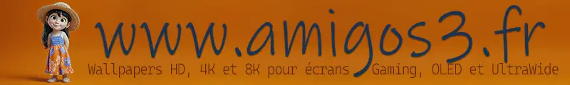 www.amigos3d.fr