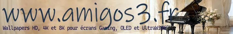 Bienvenue sur Amigos3D